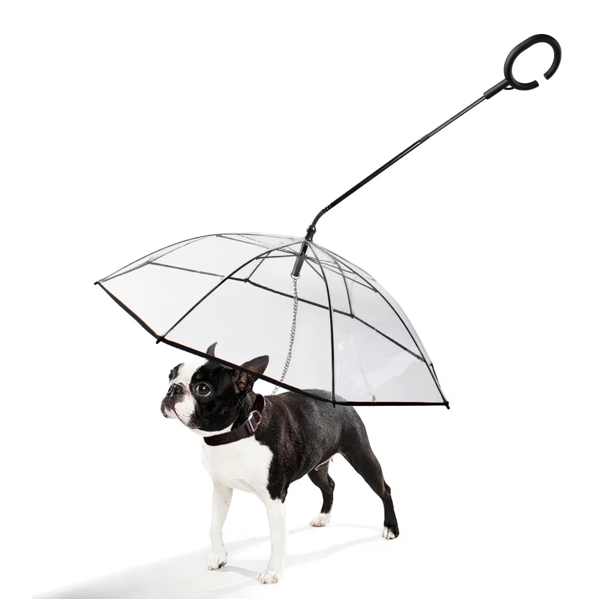 Transparent Pet Umbrella