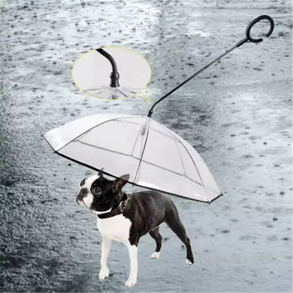 Transparent Pet Umbrella